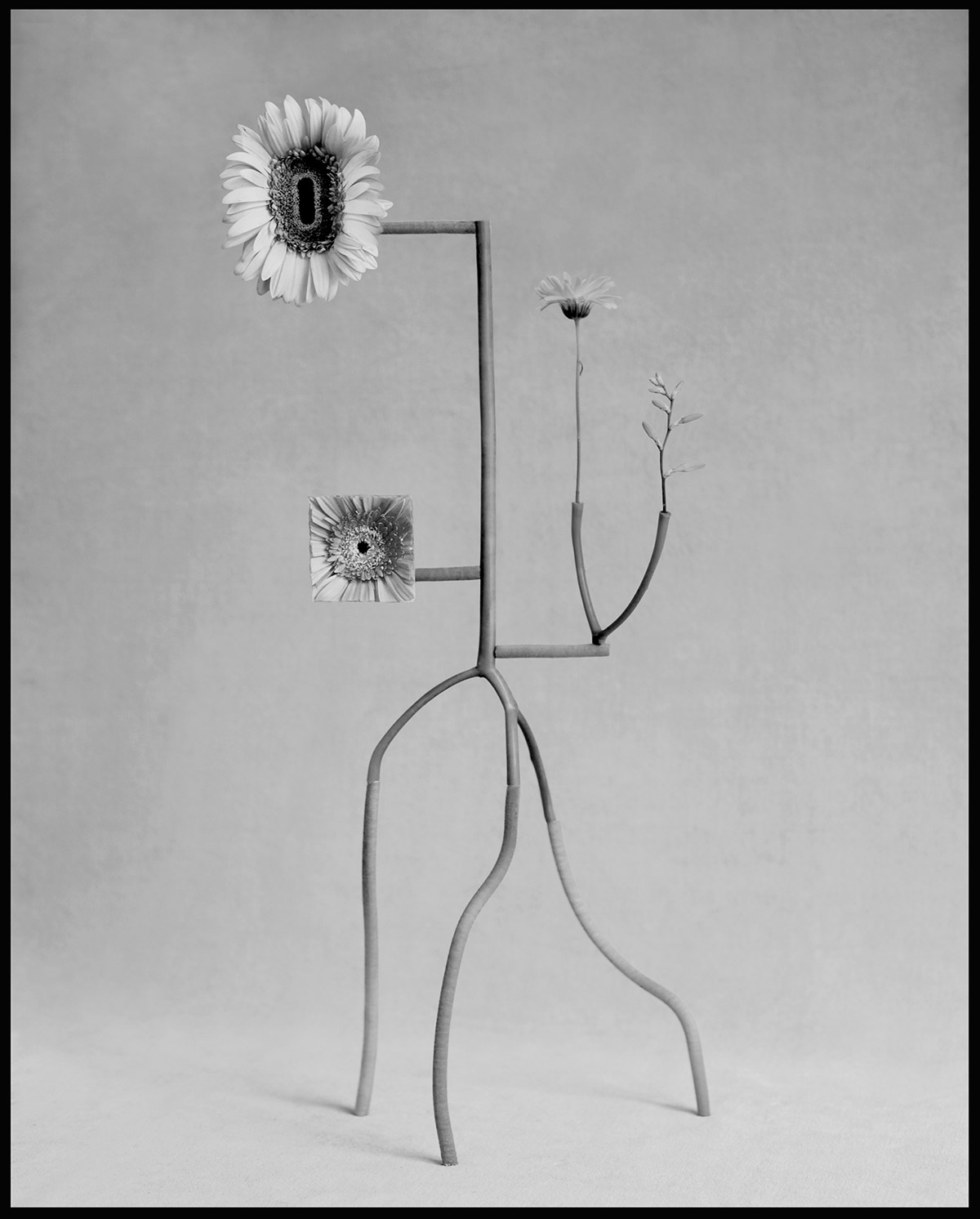 Abstract Composition