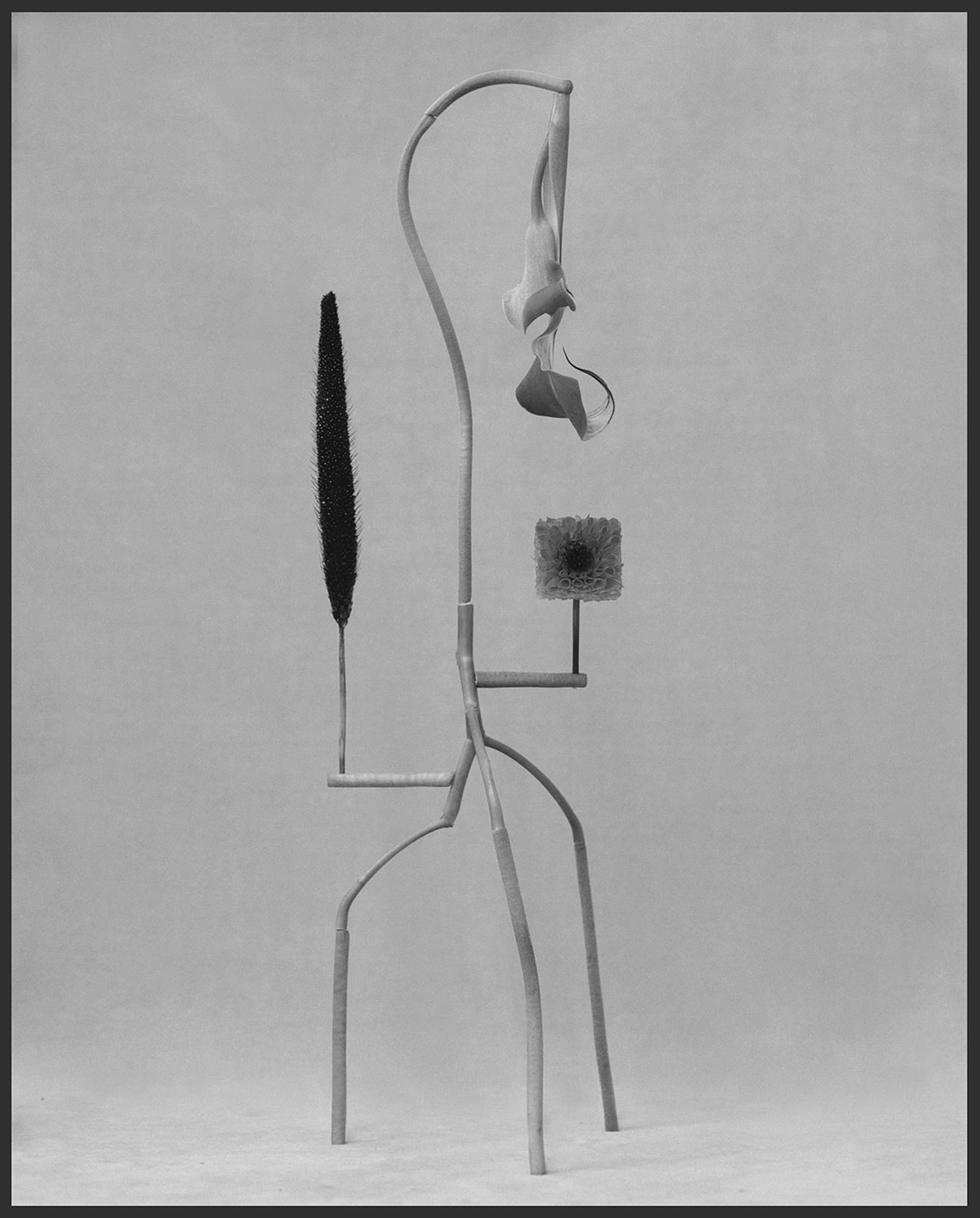Expressive Figure Study