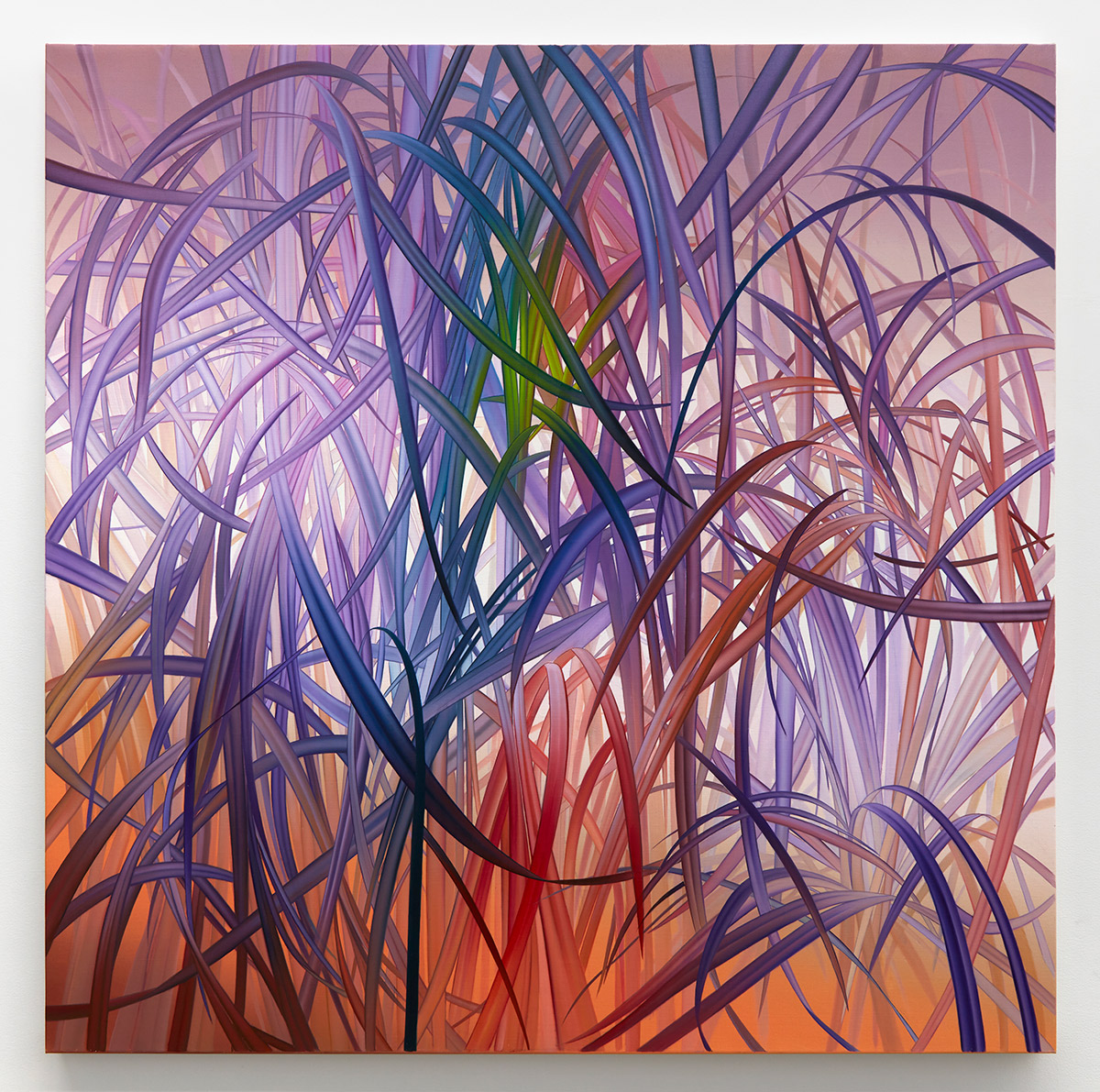 Symphony of Hues