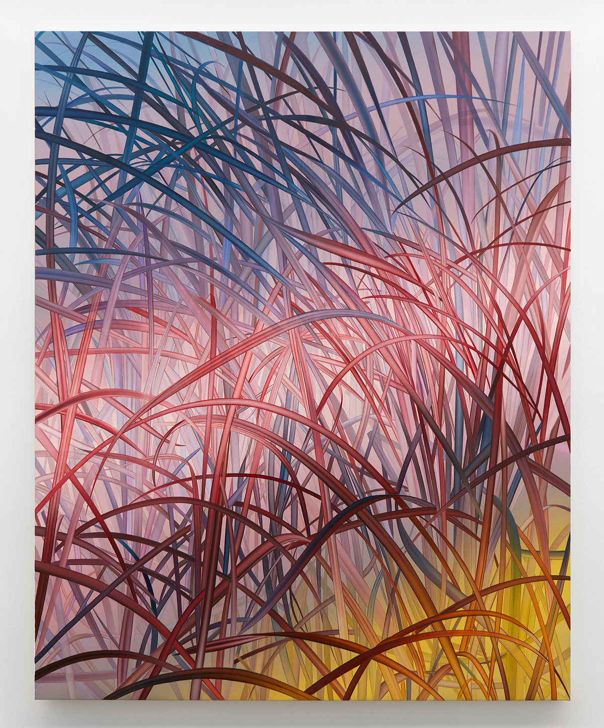 Fluid Forms on Canvas