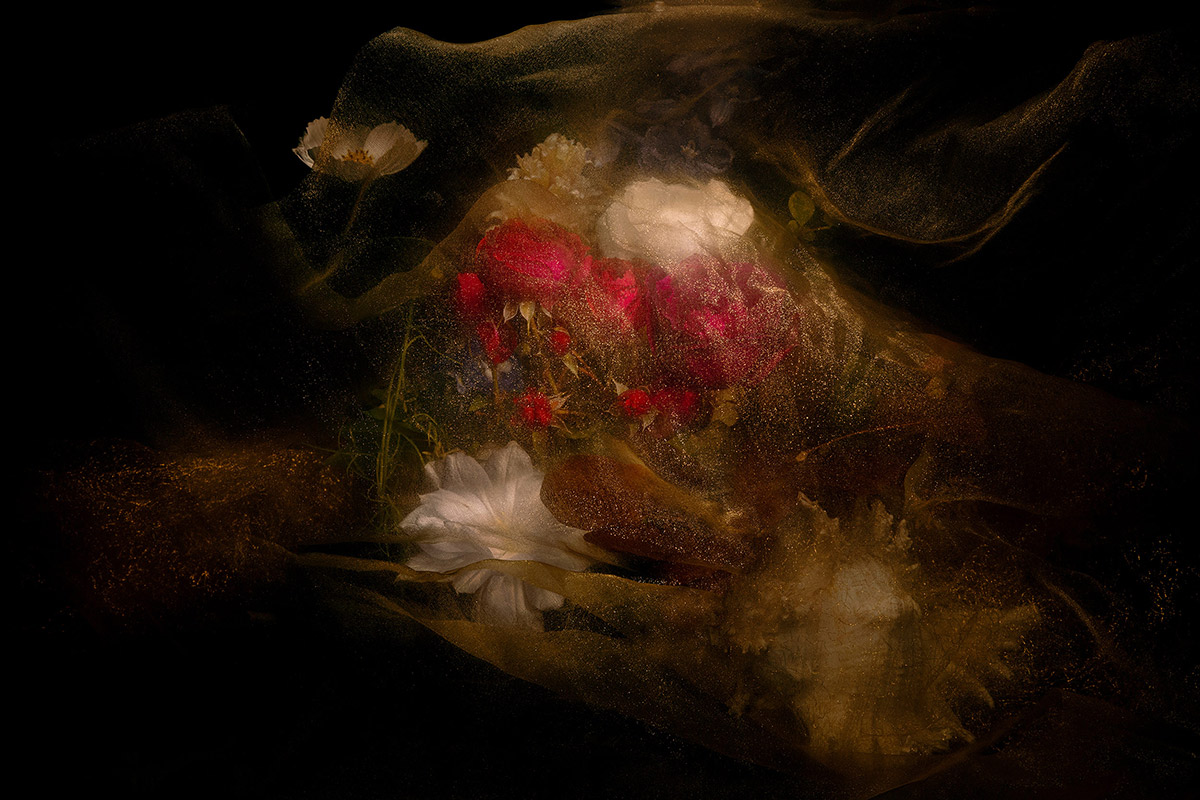 Captivating Imagery by Lilli Waters