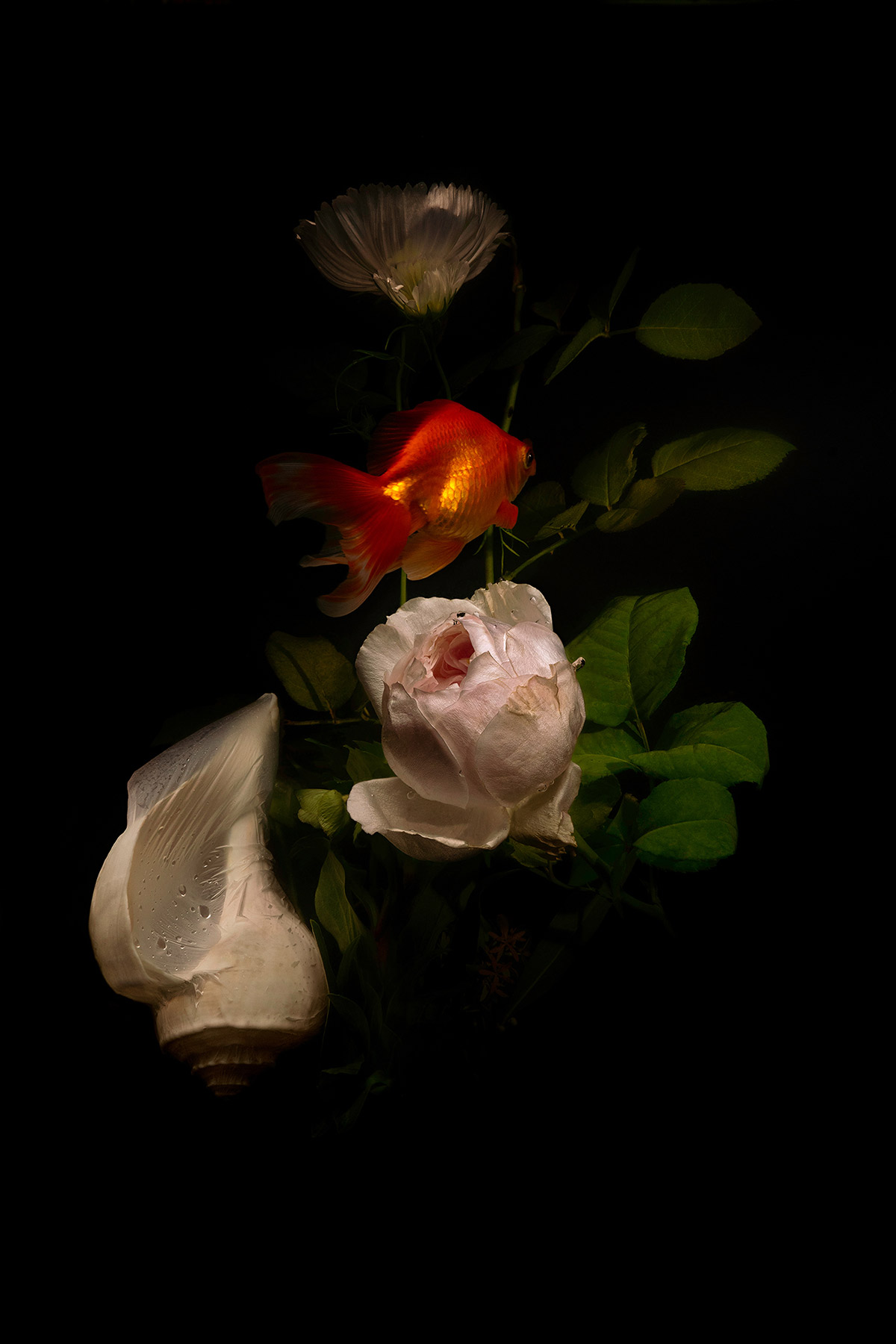 Explorative Photography by Lilli Waters
