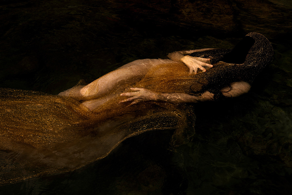 The Art of Photography with Lilli Waters