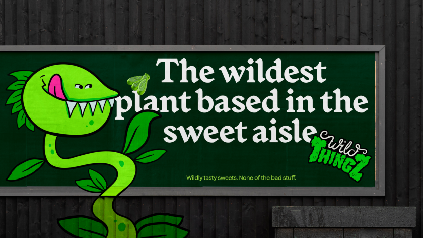 Wild Thingz Branding by How&How
