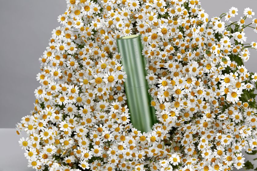 Daisyface Sustainable Packaging by Blond
