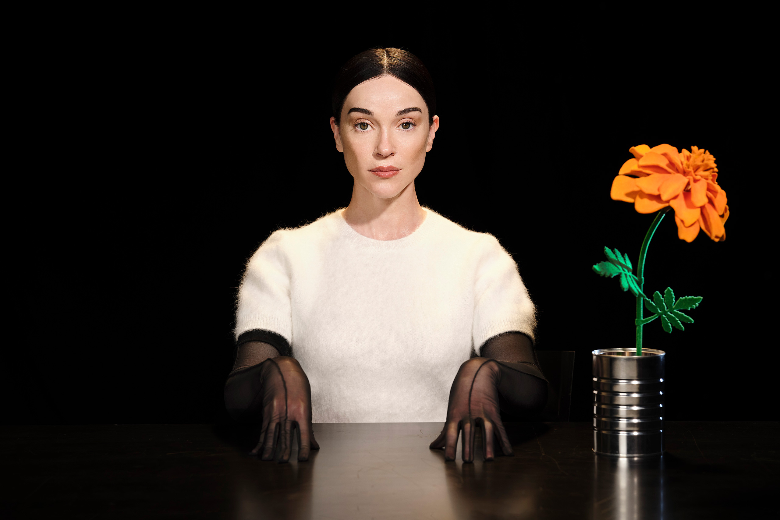 St. Vincent in Artistic Vision