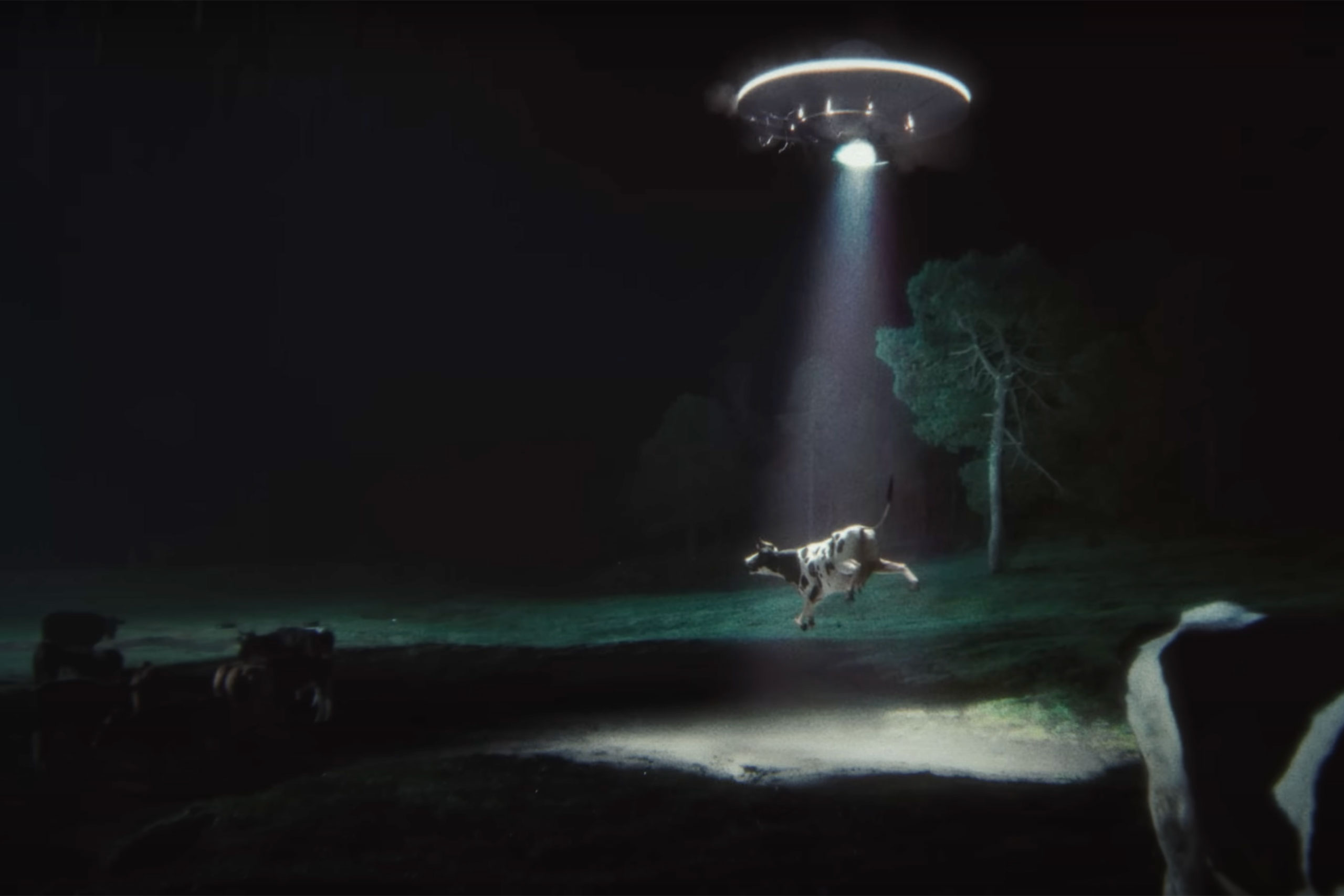 Glass Animals Show Pony Music Video Still